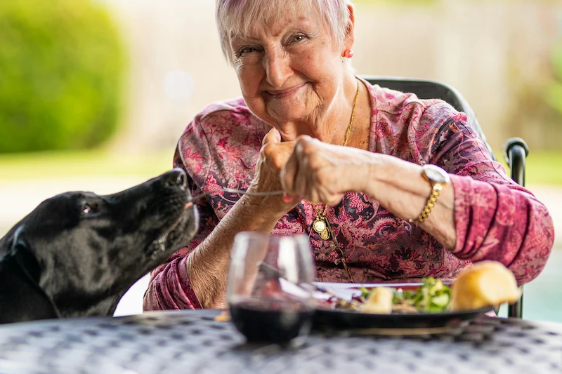 alimentación sana en adultos